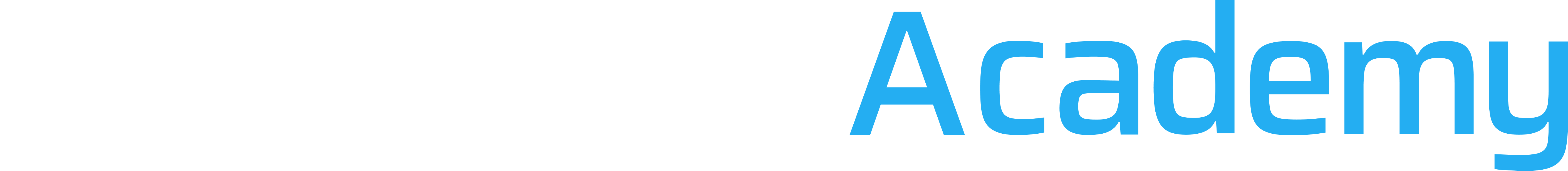 The Agent Academy